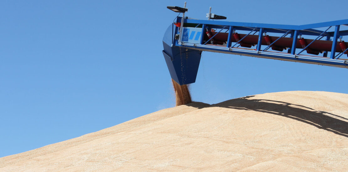 Como a Austrália superou sua crise de armazenamento de grãos