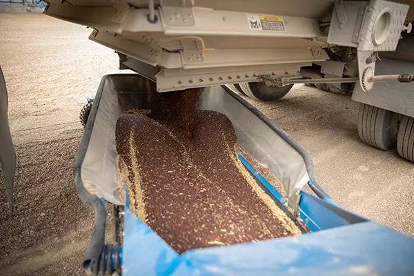 Eficiente em qualquer cultura Transportadores de Grãos para Soja e Milho